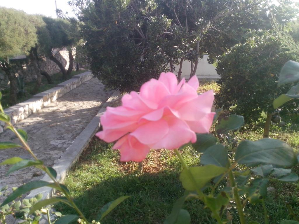 Kuca Za Odmor Laura Ražanac Exterior foto