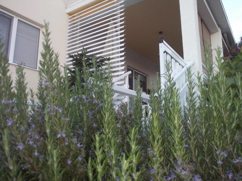 Kuca Za Odmor Laura Ražanac Exterior foto