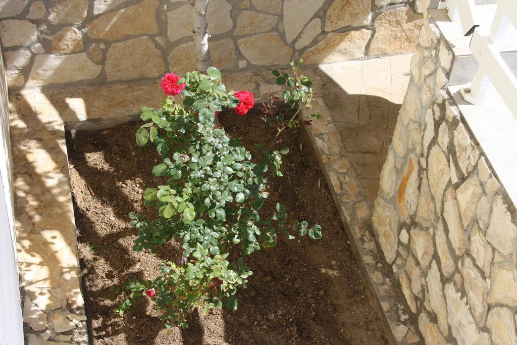 Kuca Za Odmor Laura Ražanac Exterior foto